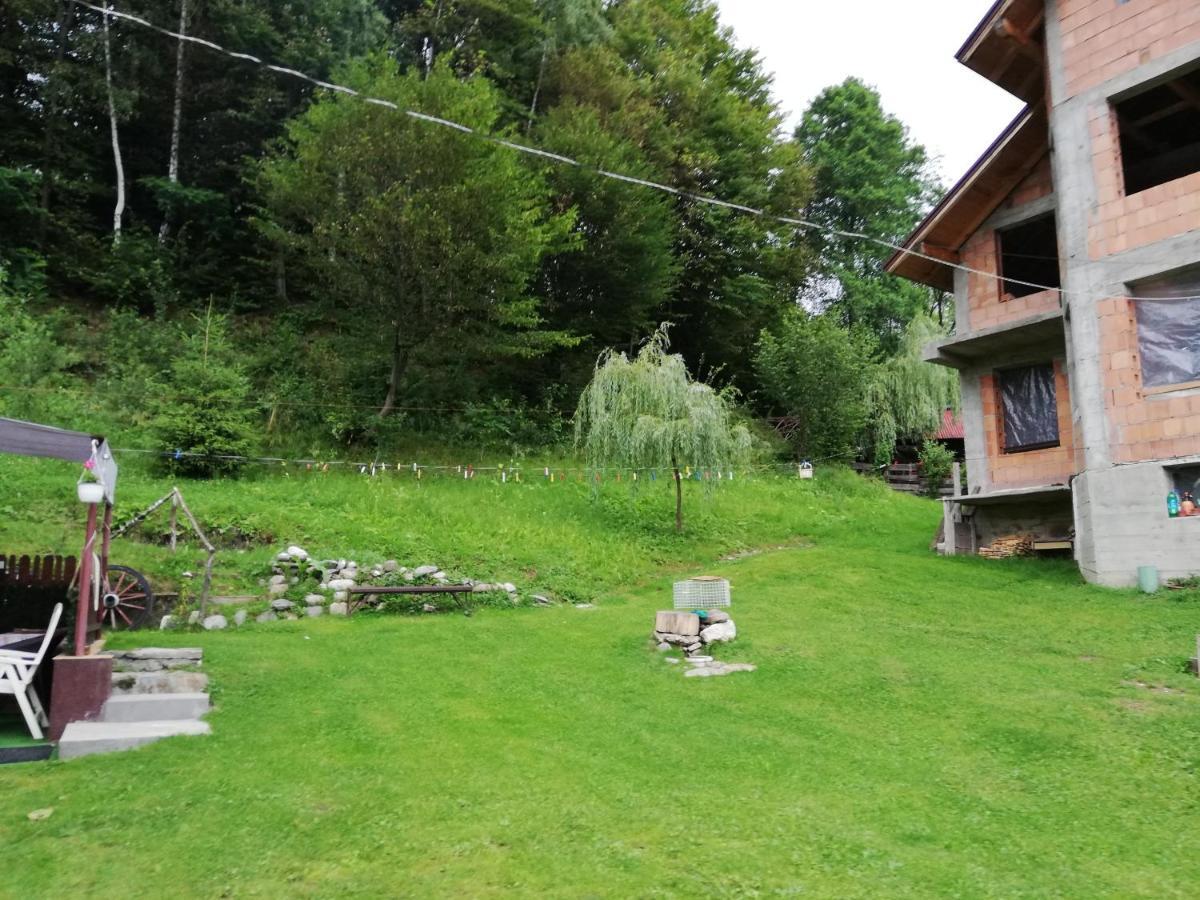 Casa Jasmin Villa Bran  Exterior photo