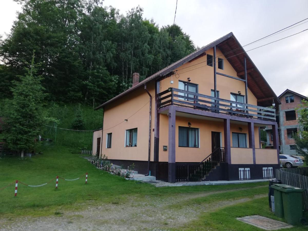 Casa Jasmin Villa Bran  Exterior photo